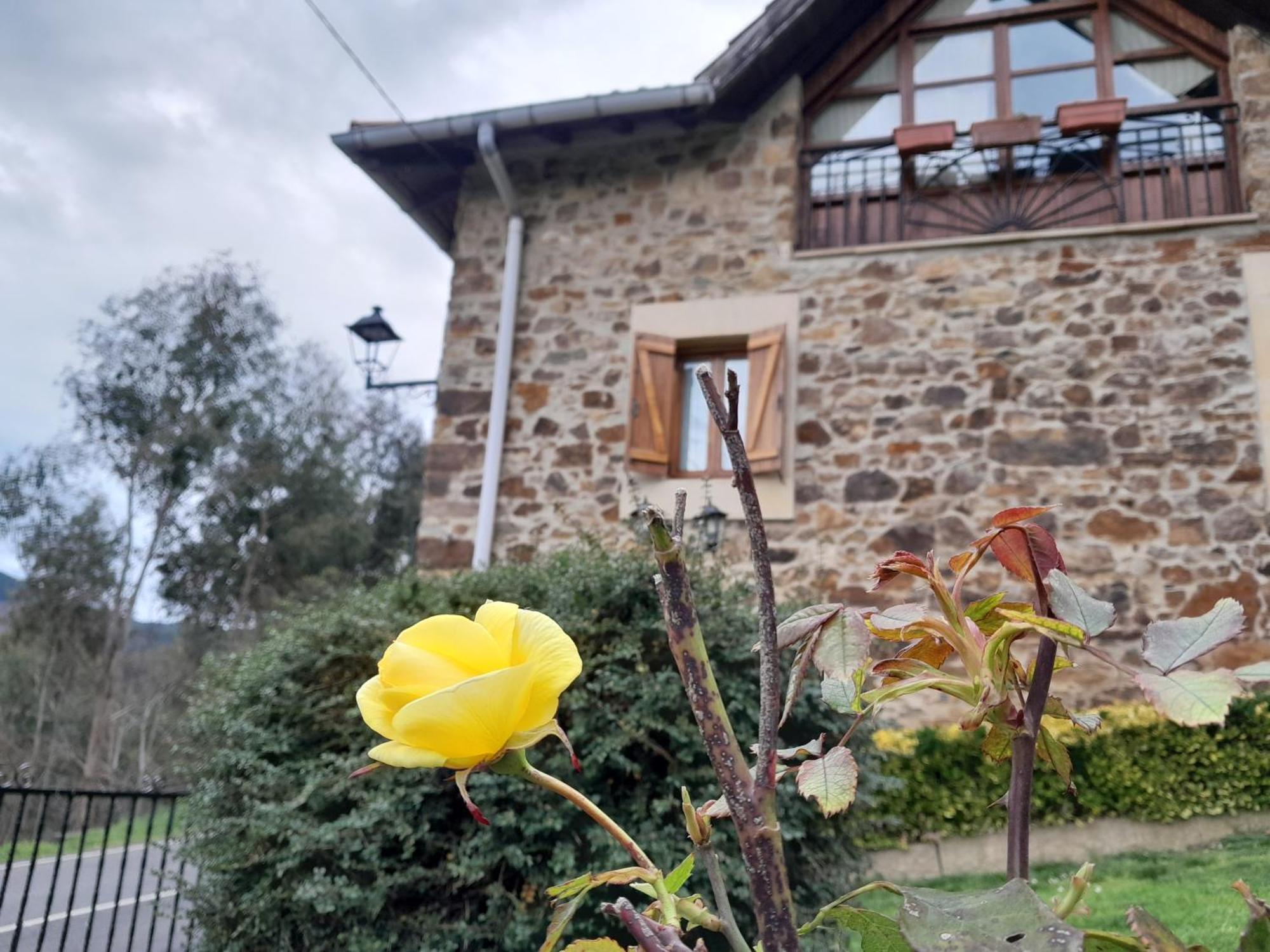Urrezko Ametsa Guest House Sopuerta Екстериор снимка